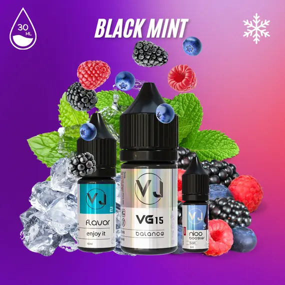 BLACKMINT - лесные ягоды с мятой (30мл Salt)