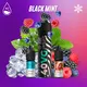 BLACKMINT - лісові ягоди з м'ятою 60мл